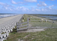 Noordzee